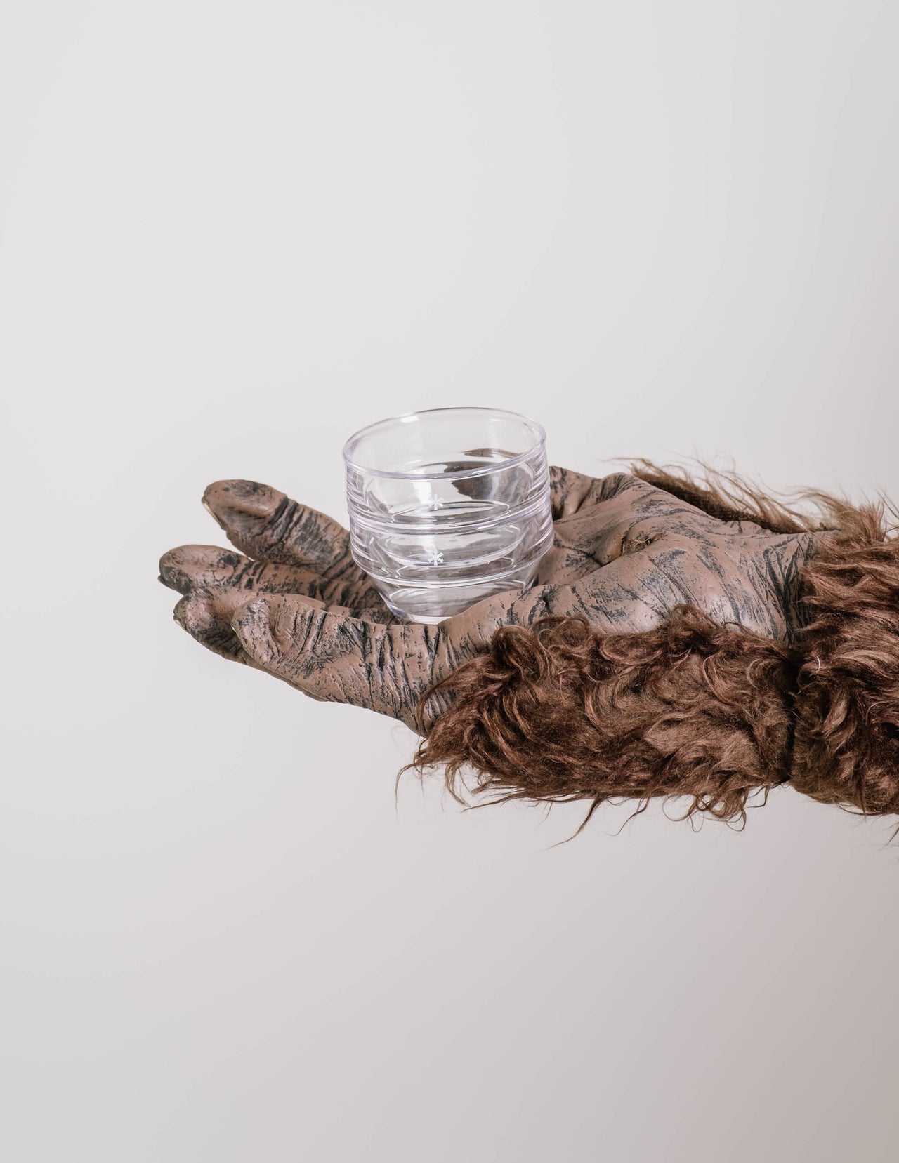 Sayou Clear Tea Cup Set