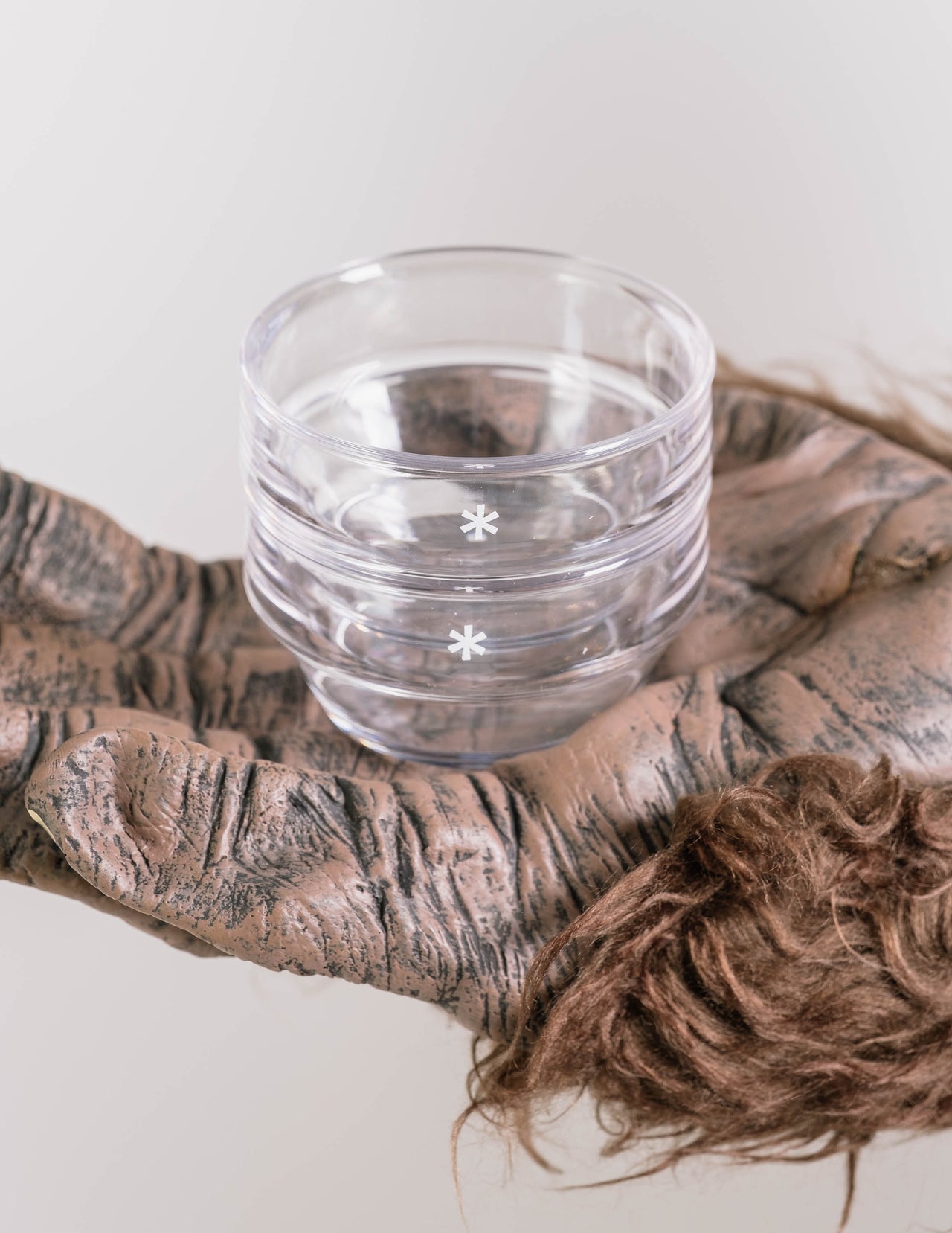 Sayou Clear Tea Cup Set