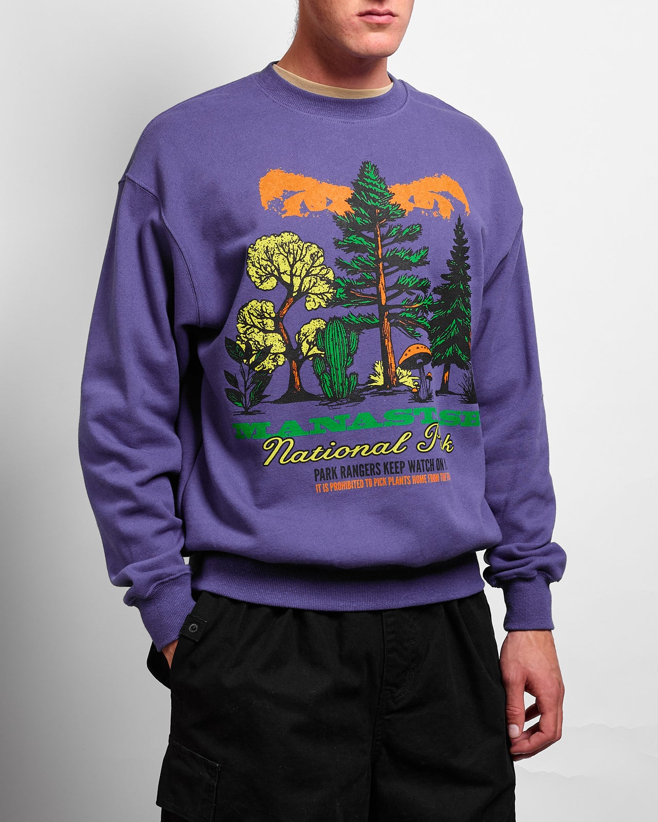 National Park Cascade Sweatshirt in Violet