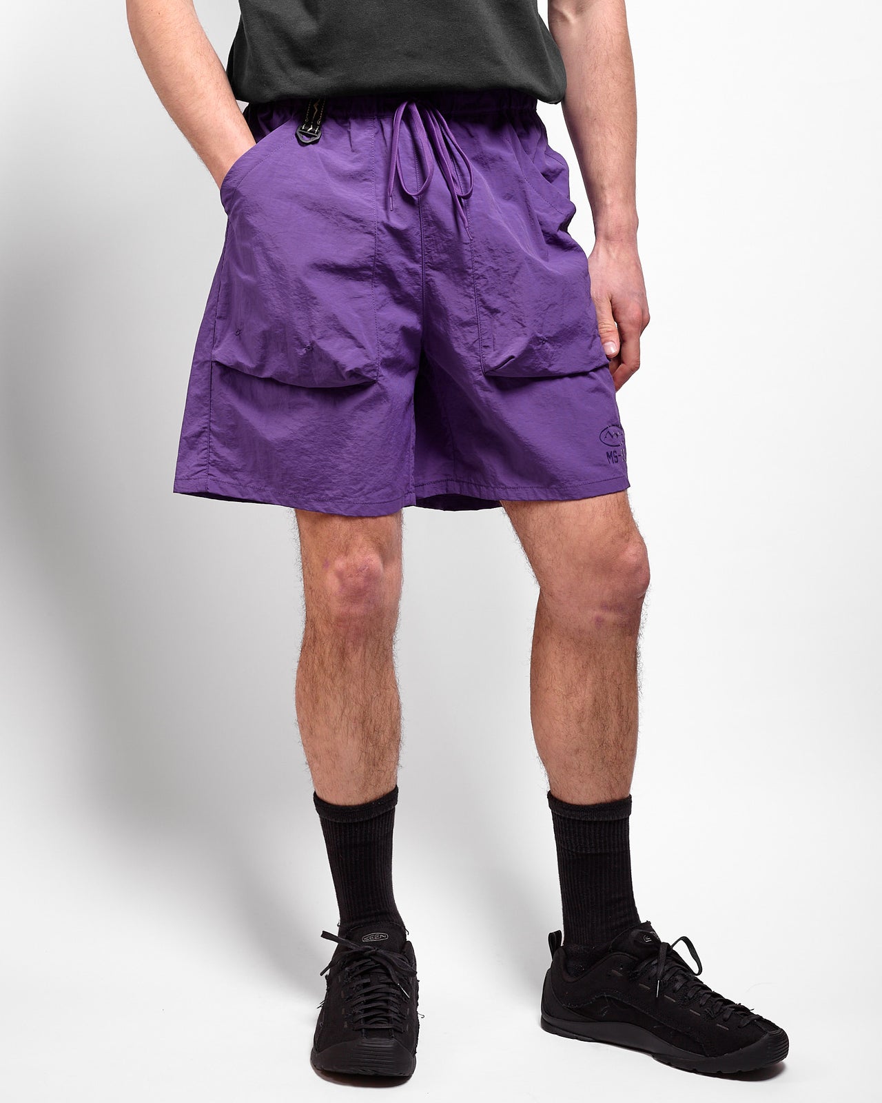 Park Shorts in Purple