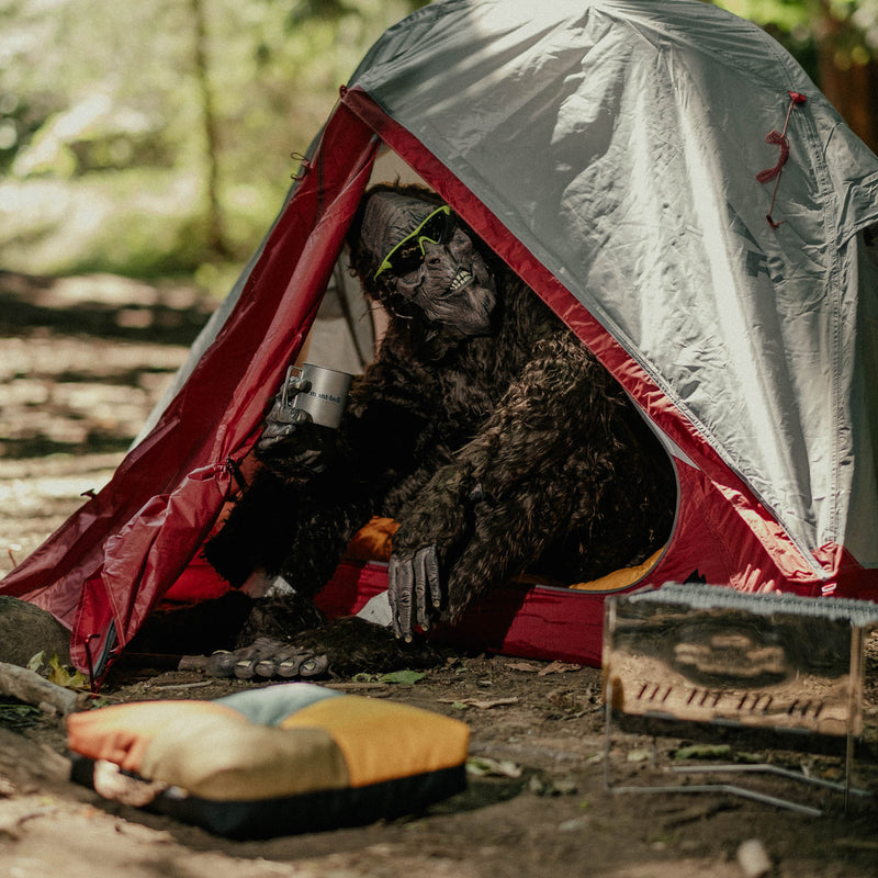 Camp Life with Bigfoot
