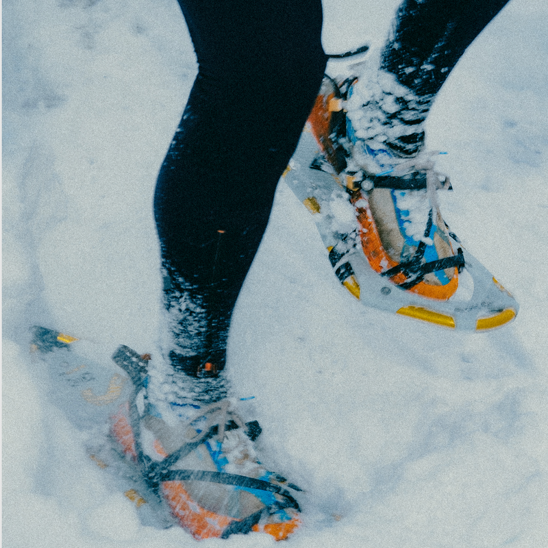 Snow at Speed: Windthow for Atlas Snowshoes