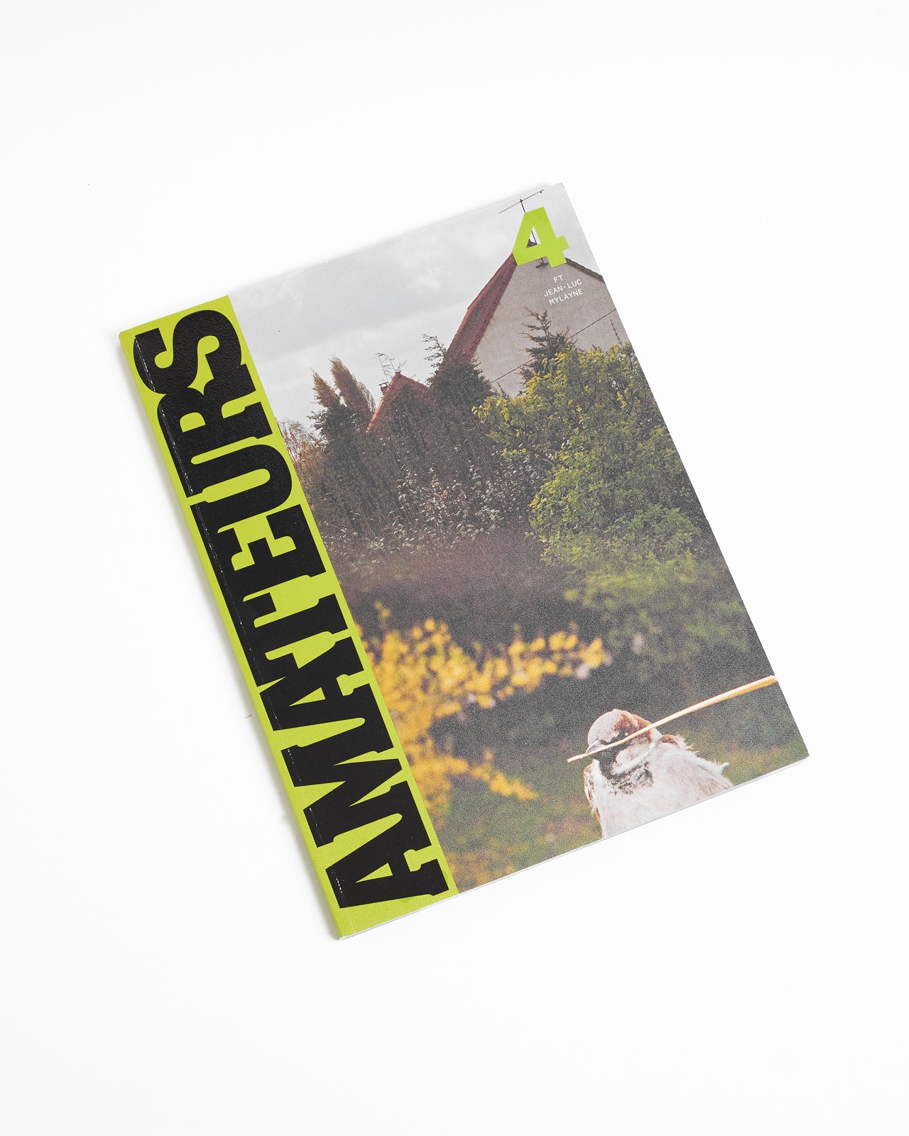 Amateurs Issue 4 (Bird Cover)