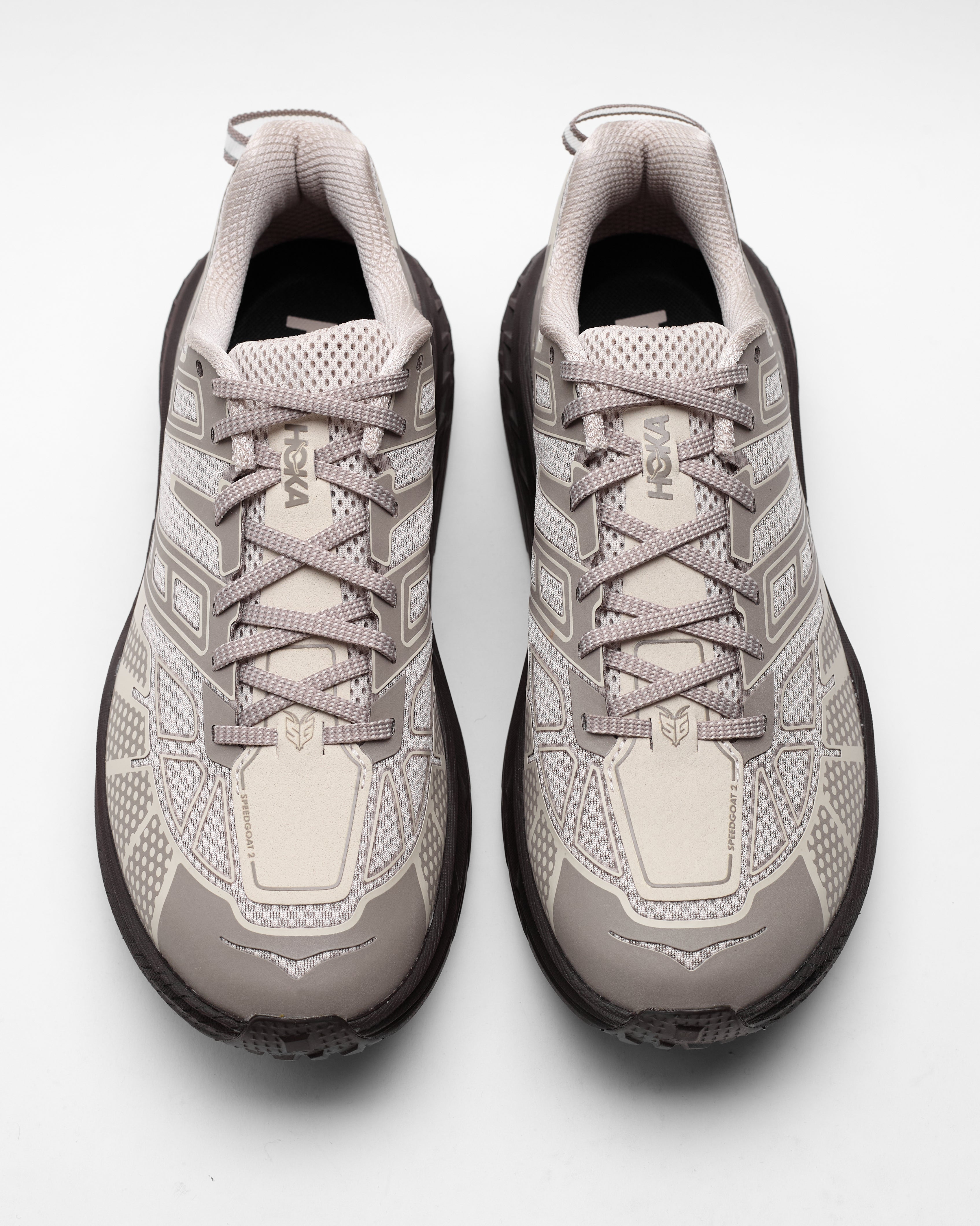 Trail Runners ~ Windthrow