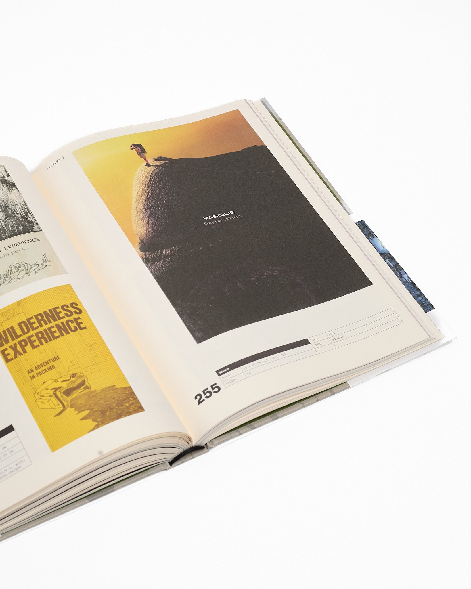 The Outdoor Archive ~ Windthrow