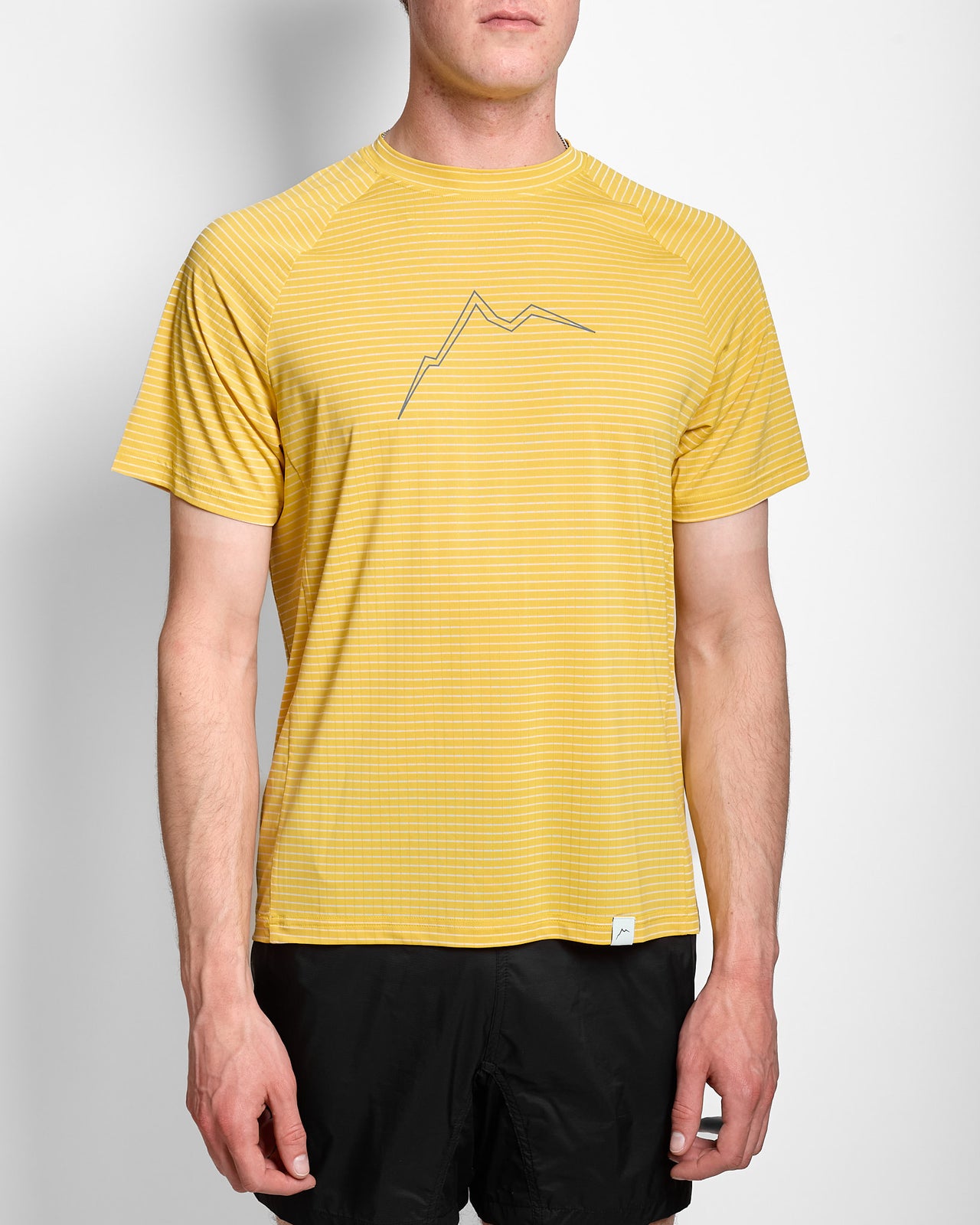 Stripe B.L. Short Sleeve in Yellow