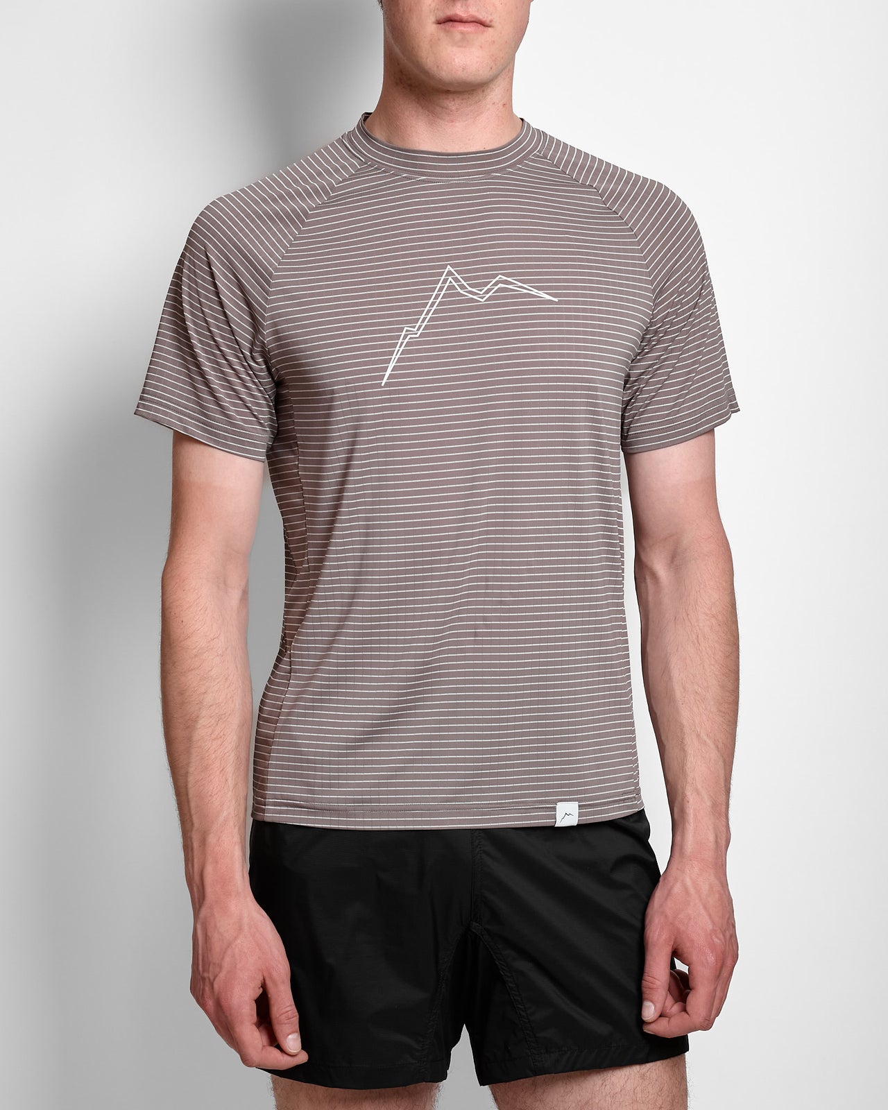 Stripe B.L. Short Sleeve in Grey