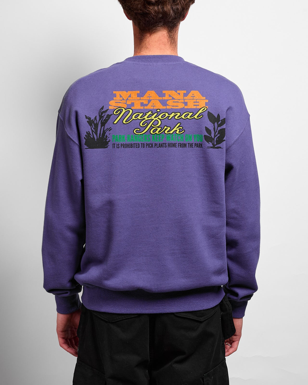 National Park Cascade Sweatshirt in Violet