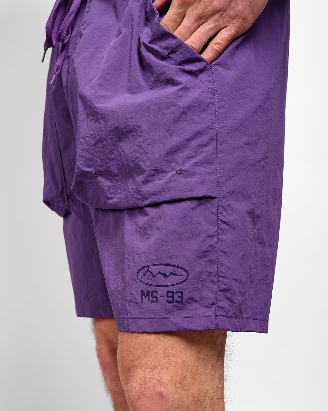 Park Shorts in Purple