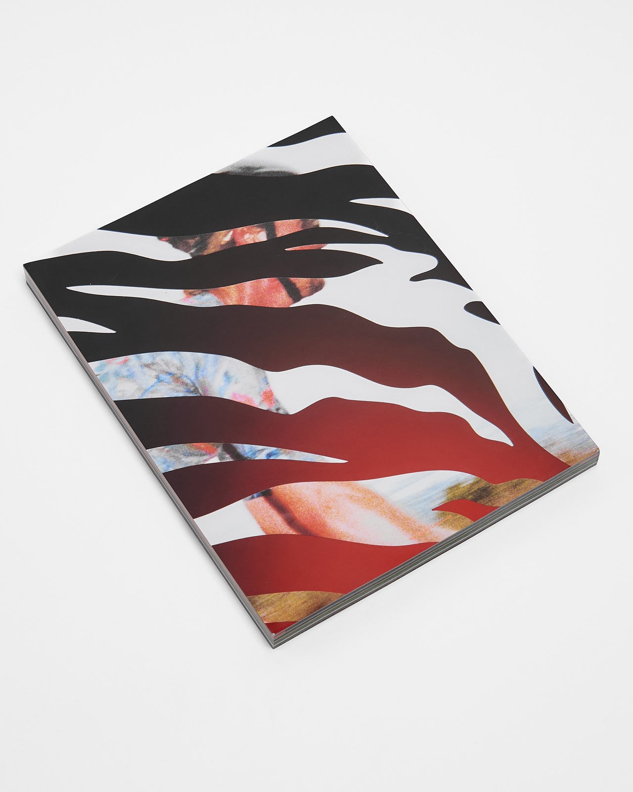 Issue 4 Cover 2 "Kask"