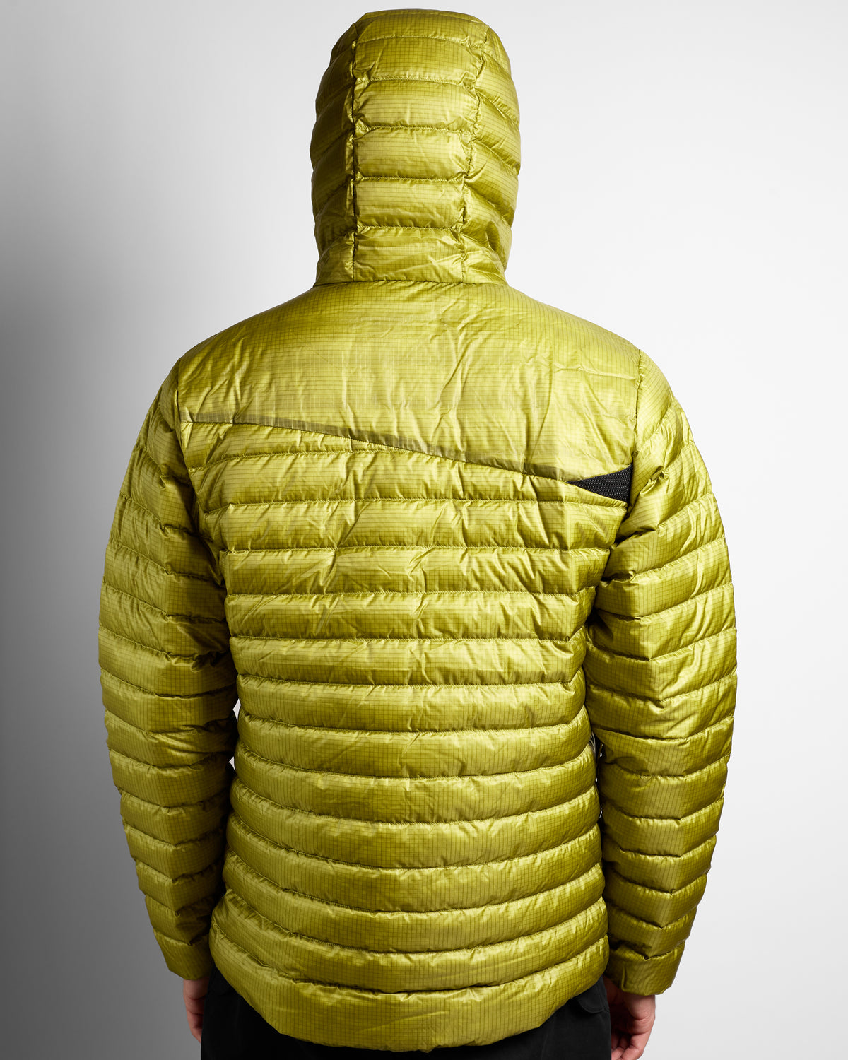 Lopt Hood Jacket in Citronell