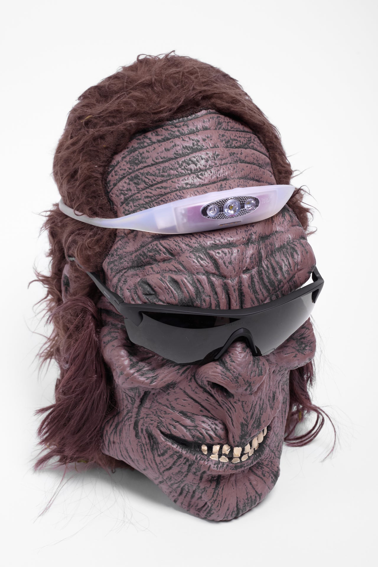 Bandicoot Run 250 Headlamp in Grape