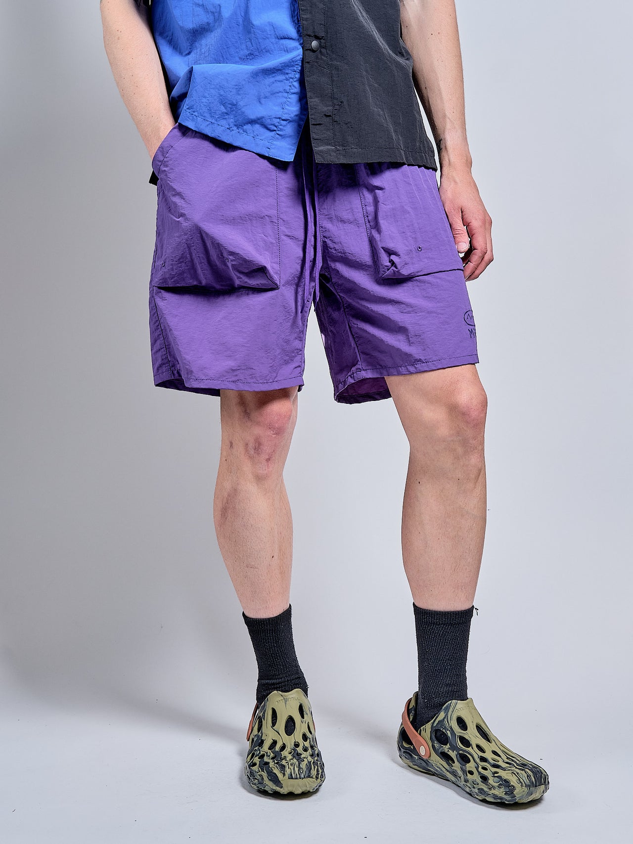 Park Shorts in Purple