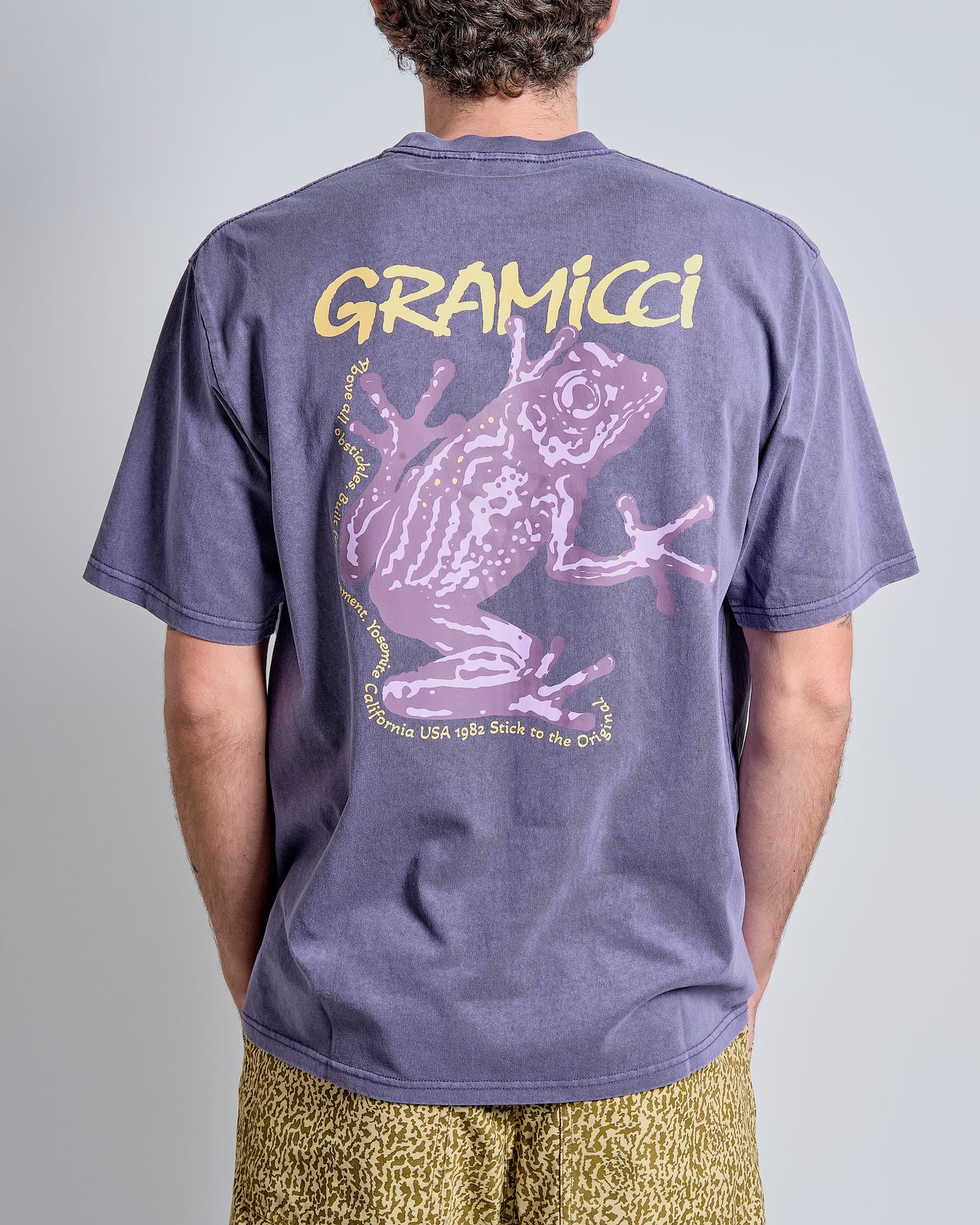 Sticky Frog Tee in Purple